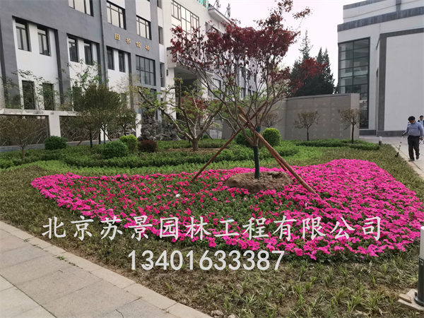 非凡国际官方指定唯一官方网址及备案认证查询