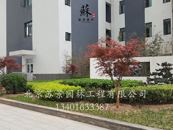 非凡国际全站商务合作信息公开网站内容管理中心